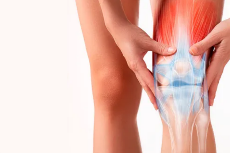 Principales articulaciones del cuerpo humano