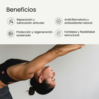 Glucosamina y Condroitina