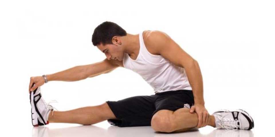 Qué es la elasticidad del tejido muscular y cómo ayuda el colágeno